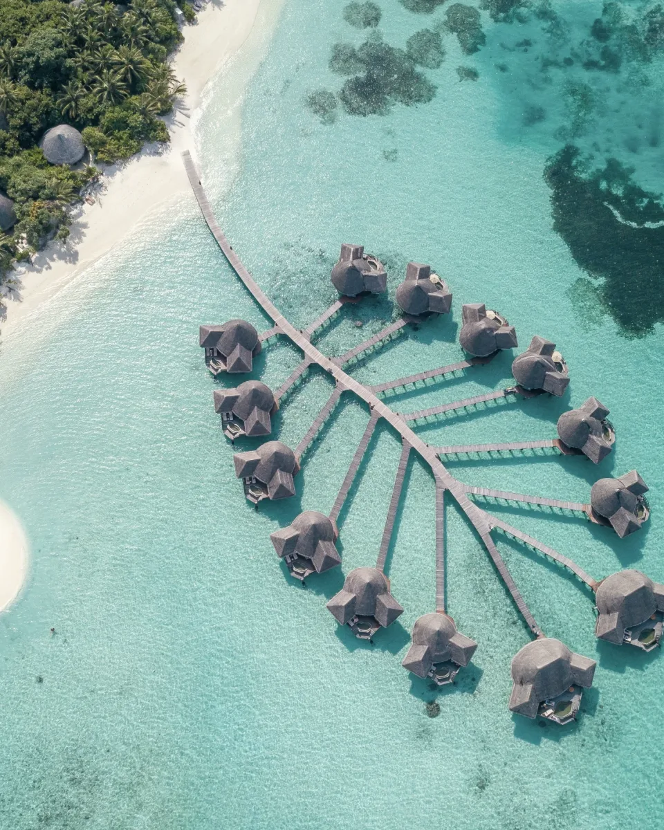 Leaf-shaped overwater villas at Coco Palm Dhuni Kolhu